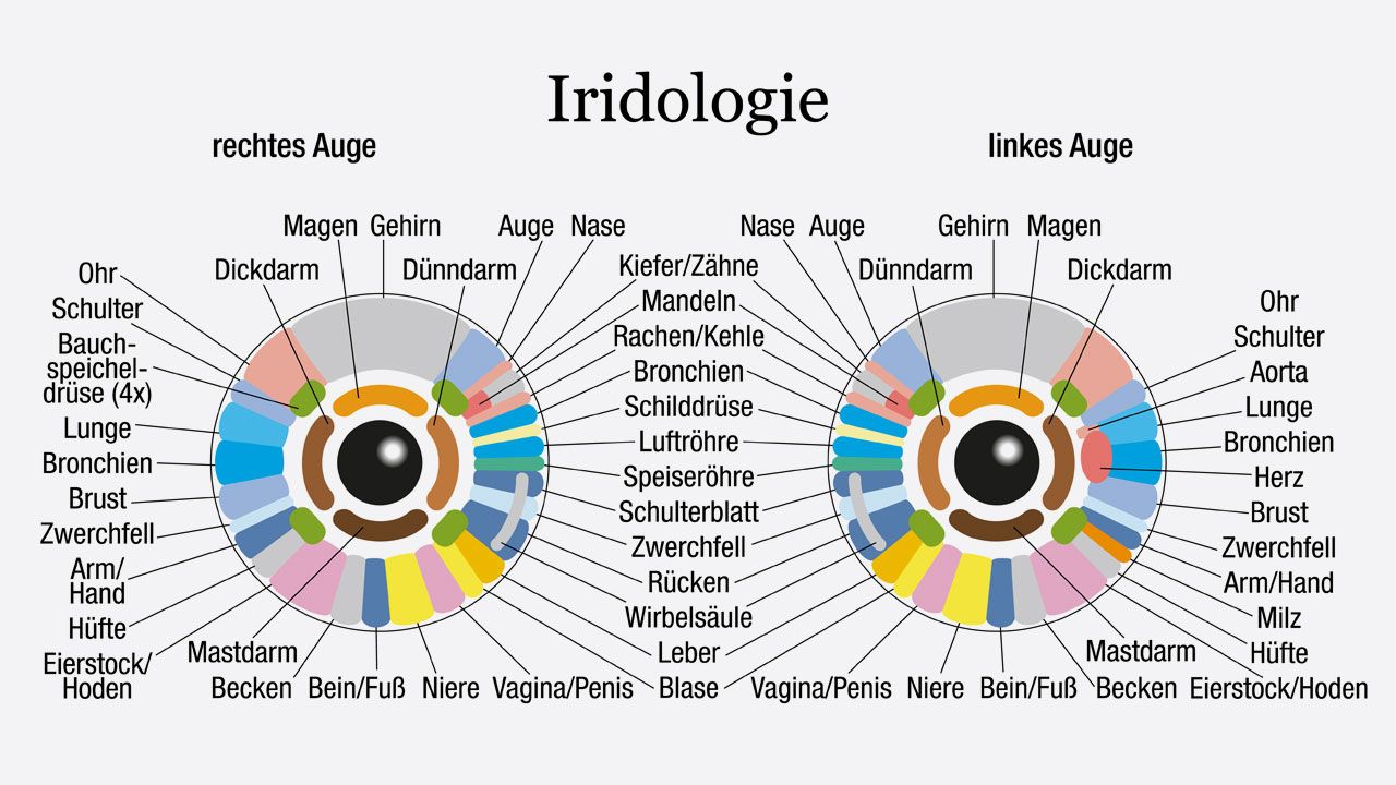 Irisdiagnostik Iridologie